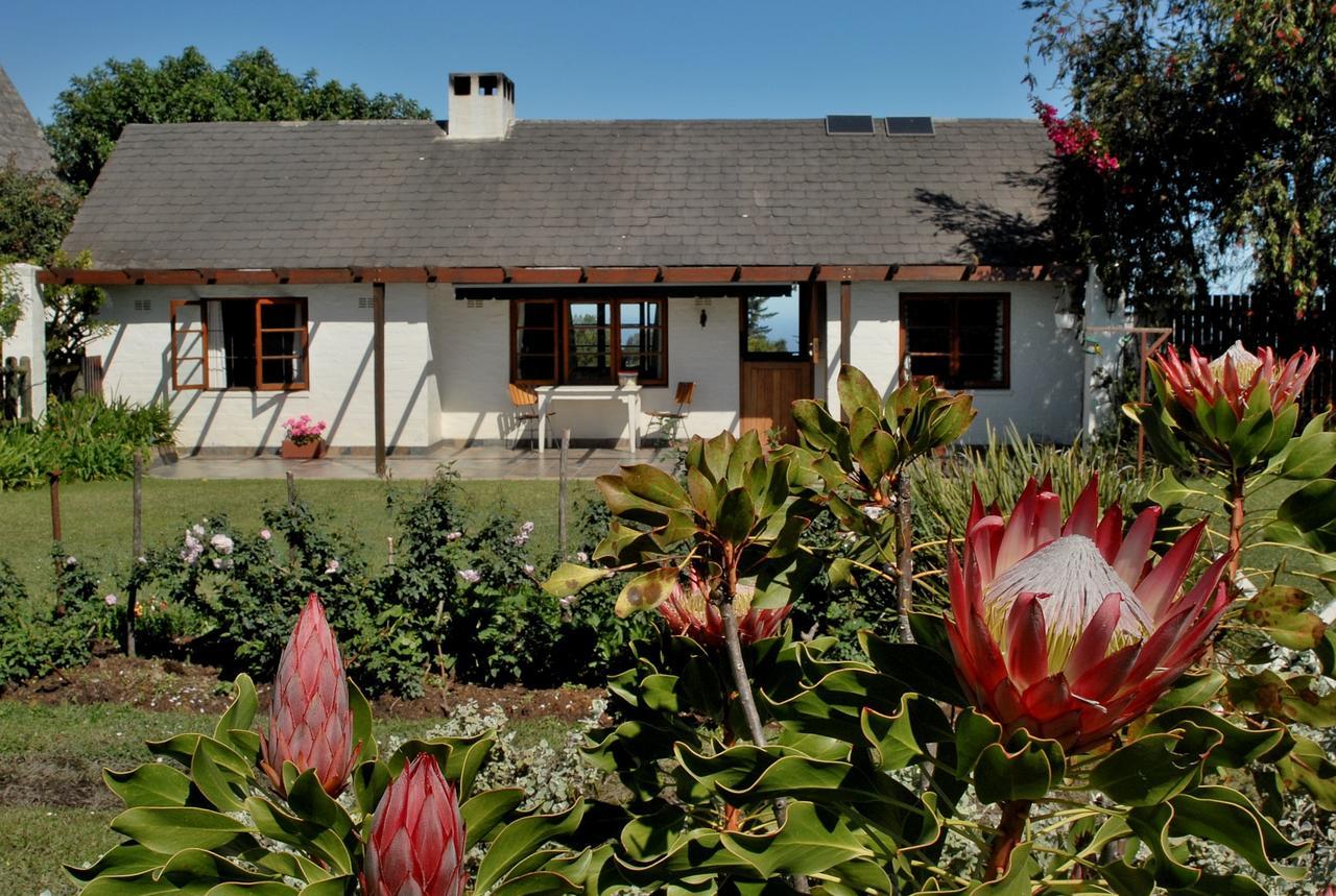 Heatherhill Farmhouse - Sea & Mountain Views Plettenberg Bay Εξωτερικό φωτογραφία